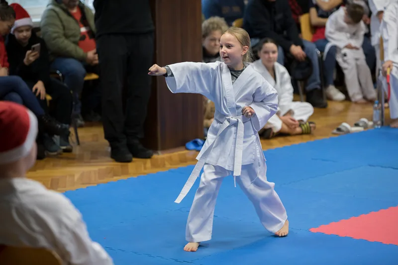 Karate